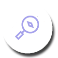Search and discover